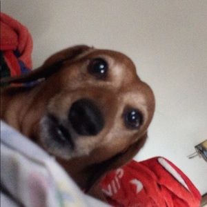 Meet your Posher, Erica